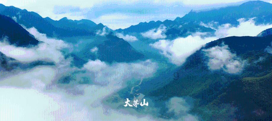 监狱建筑师
